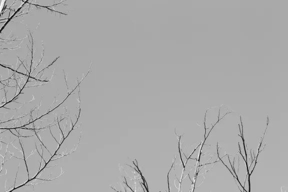 XCasino Kasino Support